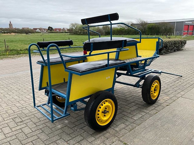 Paarden menwagen - afbeelding 7 van  12