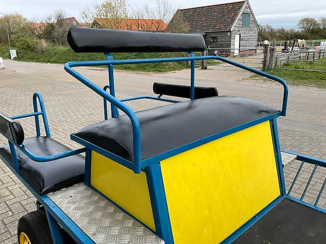 Paarden menwagen - afbeelding 11 van  12