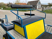 Paarden menwagen - afbeelding 7 van  12