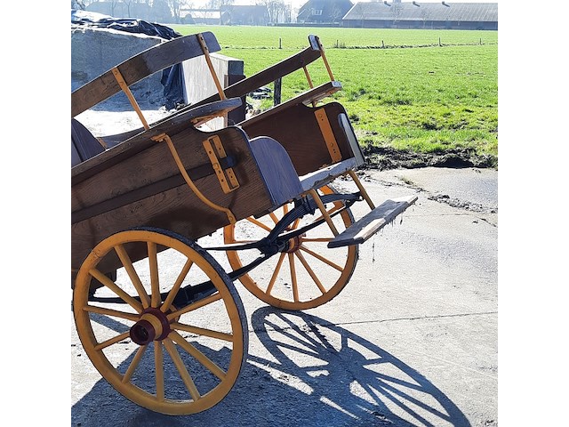 Paarden rijtuig, 1 paards - afbeelding 9 van  10