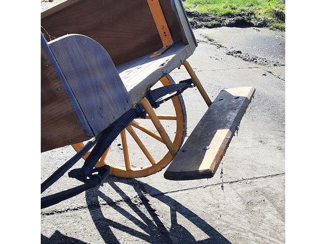 Paarden rijtuig, 1 paards - afbeelding 10 van  10