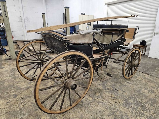 Paarden rijwagen - rijwagen - afbeelding 1 van  7