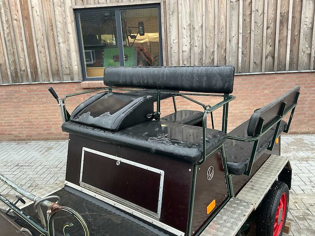 Paarden sjees - afbeelding 3 van  28