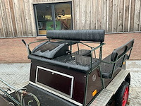 Paarden sjees - afbeelding 3 van  28