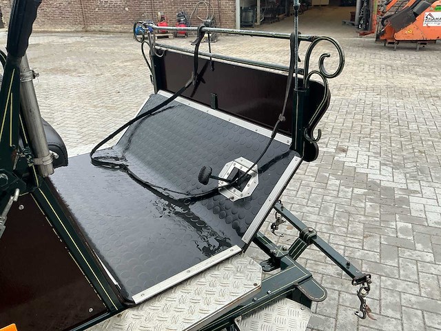 Paarden sjees - afbeelding 5 van  28