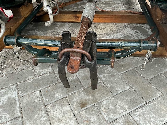 Paarden sjees - afbeelding 19 van  28