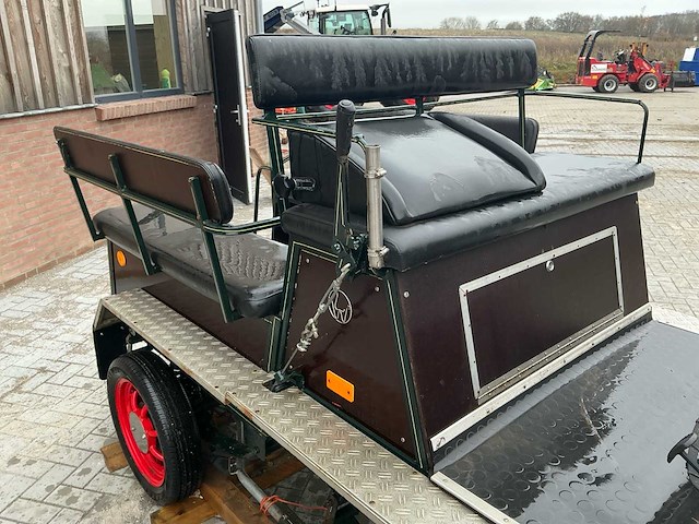 Paarden sjees - afbeelding 4 van  28