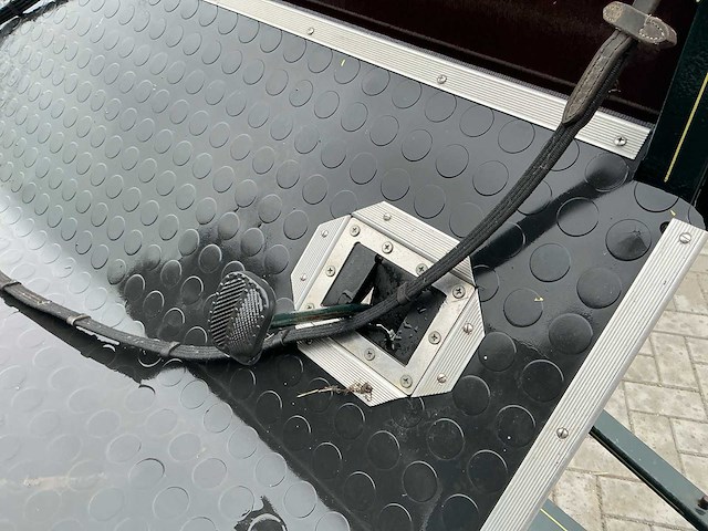 Paarden sjees - afbeelding 6 van  28