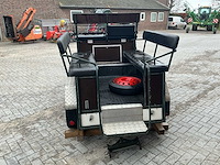 Paarden sjees - afbeelding 25 van  28