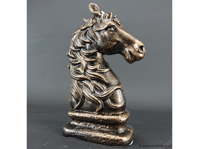Paardenhoofd - afbeelding 4 van  5