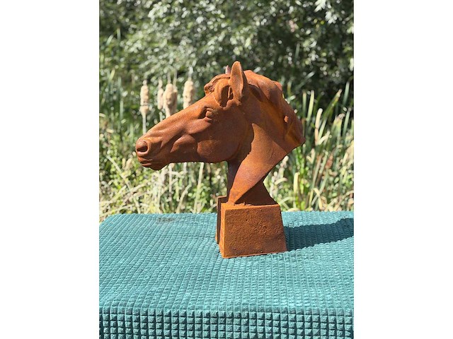 Paardenkop - afbeelding 1 van  1
