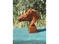 Paardenkop - afbeelding 1 van  1