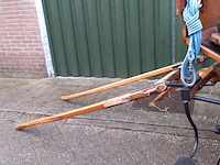 Paardenrijtuig met inhoud - afbeelding 10 van  19