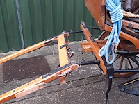 Paardenrijtuig met inhoud - afbeelding 11 van  19