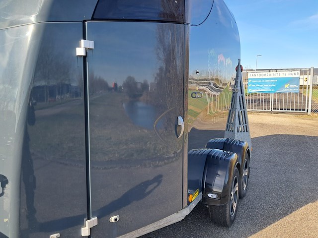 Paardentrailer, buecker, n/a, 2022 - afbeelding 4 van  37