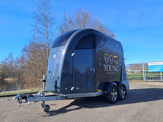 Paardentrailer, buecker, n/a, 2022 - afbeelding 1 van  37