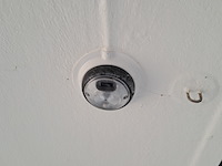 Paardentrailer, buecker, n/a, 2022 - afbeelding 20 van  37