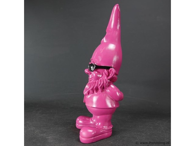 Paarse kabouter - afbeelding 3 van  5