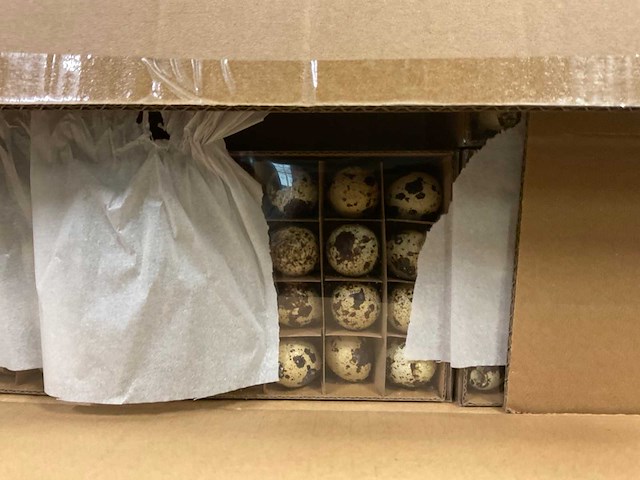 Paasdecoratie - afbeelding 7 van  16