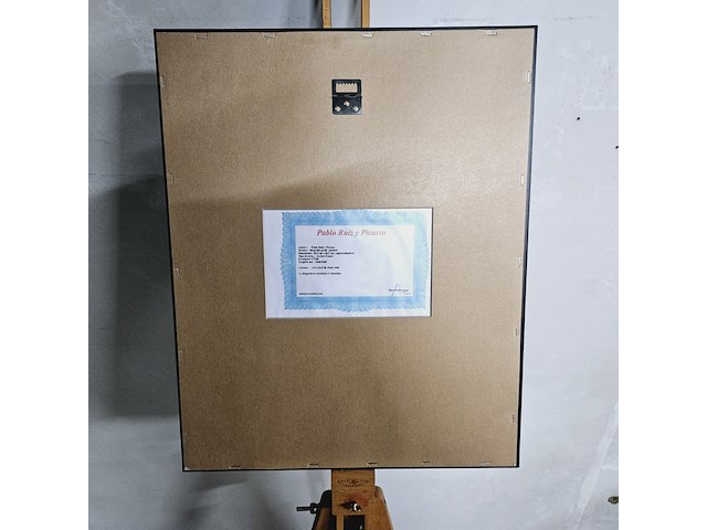 Pablo picasso - lithograaf - ''the mediterranean years'' - afbeelding 5 van  6