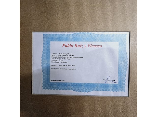 Pablo picasso - lithograaf - ''the mediterranean years'' - afbeelding 6 van  6