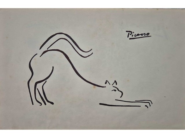 Pablo picasso - afbeelding 4 van  5