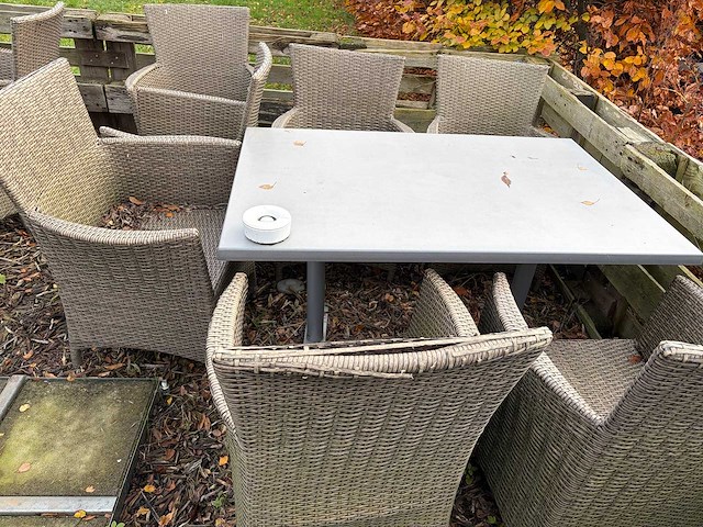 Paco - 37-delig compleet terras - afbeelding 2 van  11