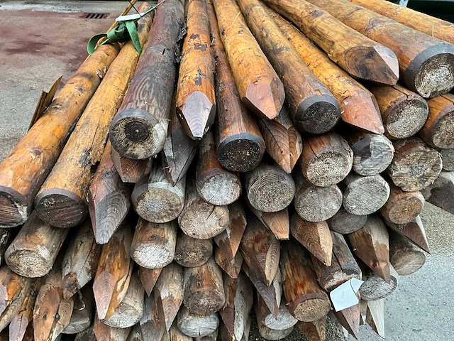 Pak afrasterpalen - afbeelding 4 van  4