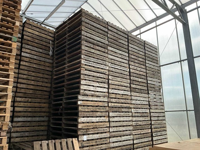 Pallet (154x) - afbeelding 2 van  3