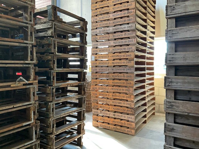 Pallet (24x) - afbeelding 1 van  3