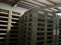 Pallet (315x) - afbeelding 1 van  2