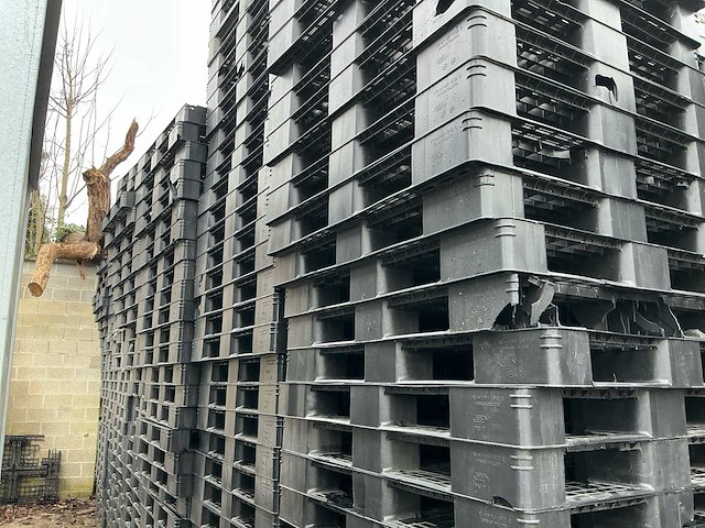 Pallet (450x) - afbeelding 3 van  3