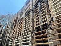 Pallet 500x760mm ca 2700 stuks - afbeelding 12 van  12