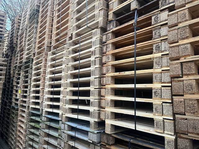 Pallet 500x760mm ca 2700 stuks - afbeelding 10 van  12