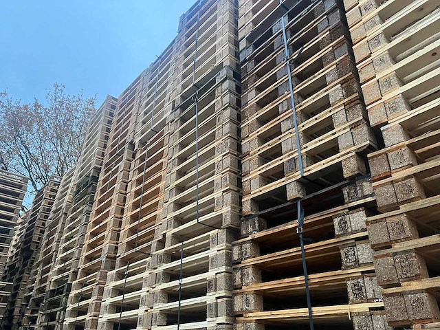 Pallet 500x760mm ca 2700 stuks - afbeelding 12 van  12