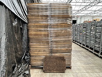 Pallet 75x50x6 cm gaasbak kussens (50x) - afbeelding 1 van  4