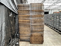 Pallet 75x50x7 cm gaasbak kussens (50x) - afbeelding 1 van  4