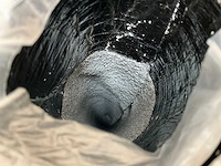 Pallet dakleer met leislag - afbeelding 12 van  14