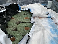 Pallet dakleer - afbeelding 2 van  4