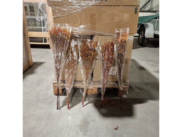 Pallet droogbloemen, multicolor - afbeelding 1 van  6