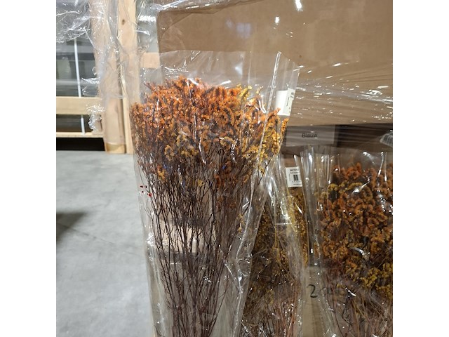 Pallet droogbloemen, multicolor - afbeelding 3 van  6