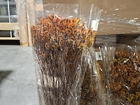 Pallet droogbloemen, multicolor - afbeelding 3 van  6