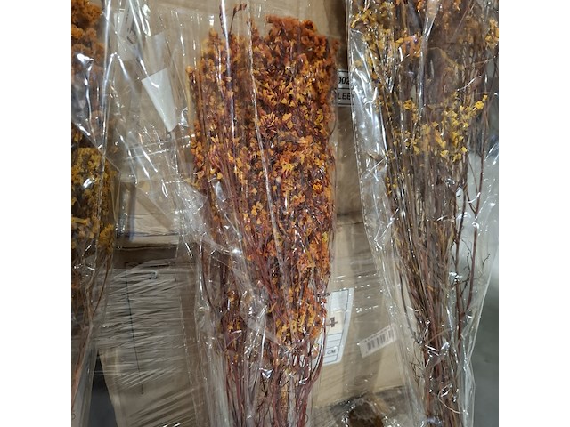 Pallet droogbloemen, multicolor - afbeelding 5 van  6