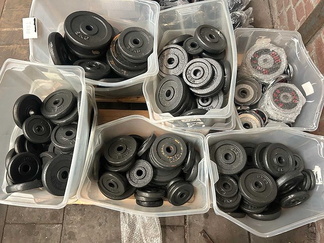 Pallet halterschijven gietijzer - afbeelding 1 van  6