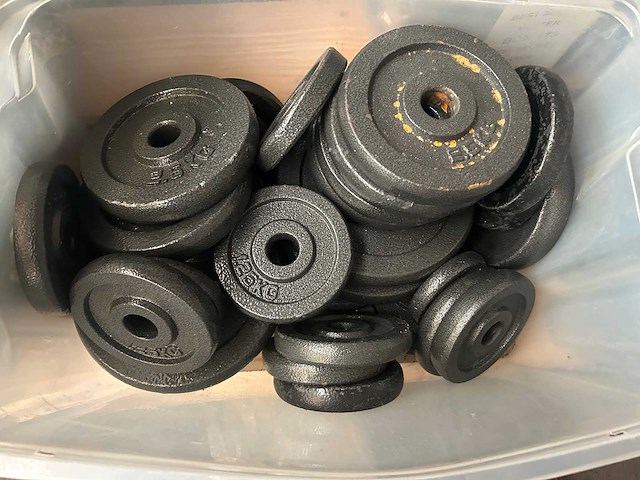 Pallet halterschijven gietijzer - afbeelding 2 van  6