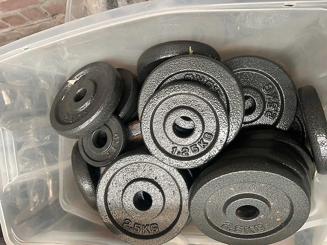 Pallet halterschijven gietijzer - afbeelding 3 van  6