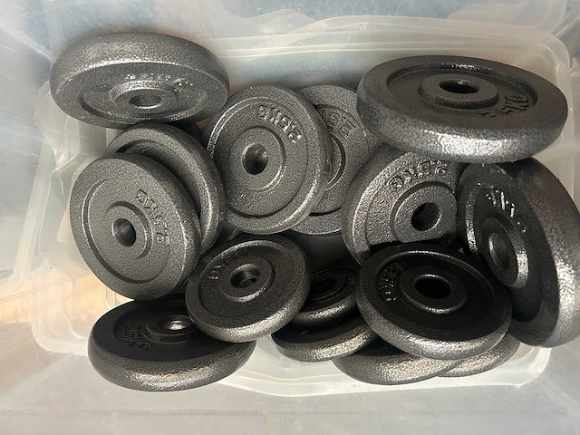 Pallet halterschijven gietijzer - afbeelding 5 van  6