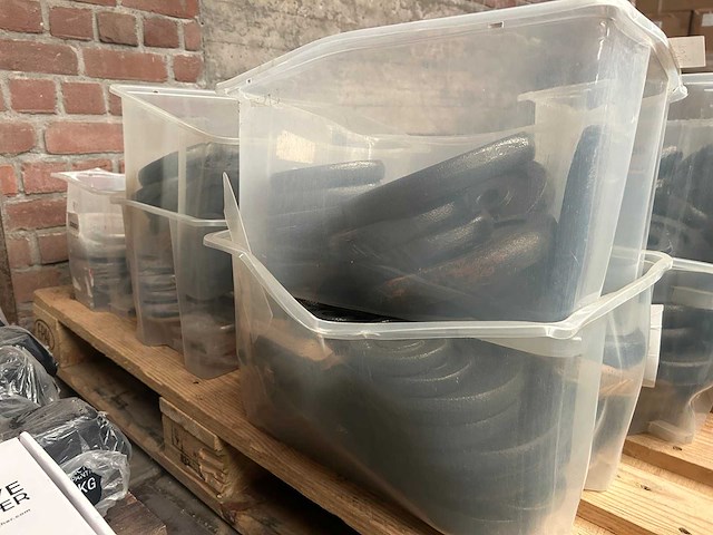 Pallet halterschijven gietijzer - afbeelding 6 van  6