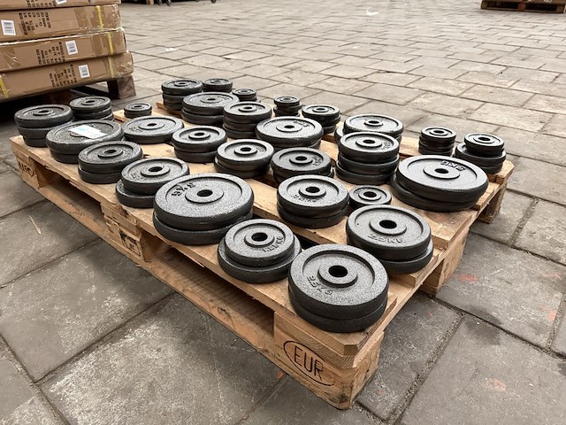 Pallet halterschijven gietijzer - afbeelding 1 van  9