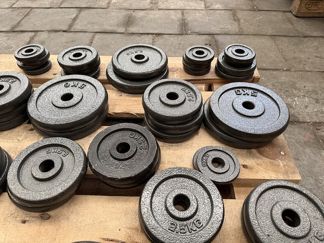 Pallet halterschijven gietijzer - afbeelding 3 van  9